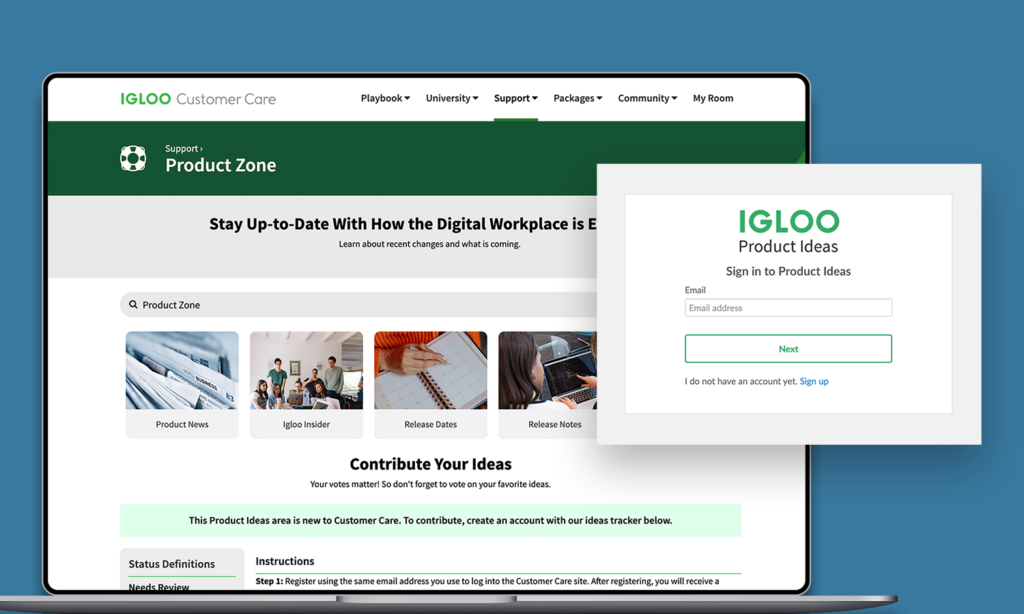 Igloo Professional Services