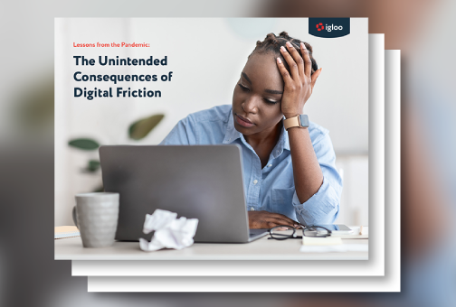 The Unintended Consequences of Digital Friction